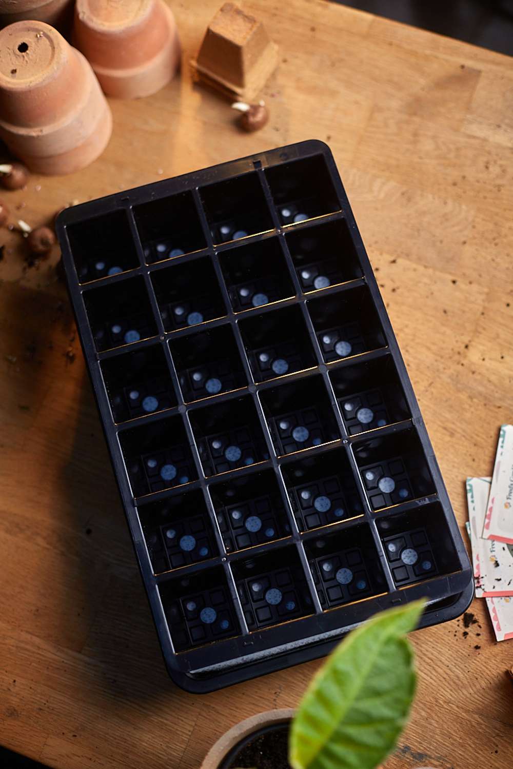 Miniväxthus med vattenreservoar